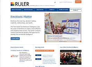 The RULER Approach